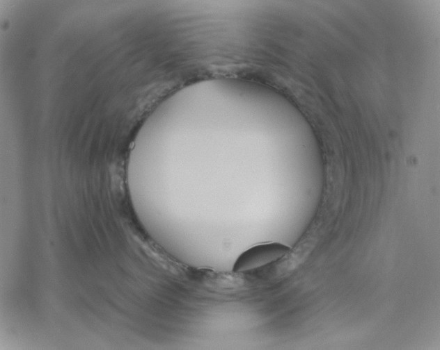 X0000069390768200606021632