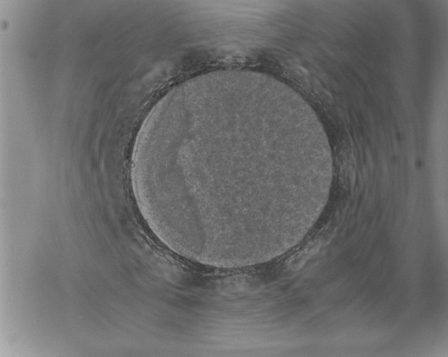 X0000069390769200606021631