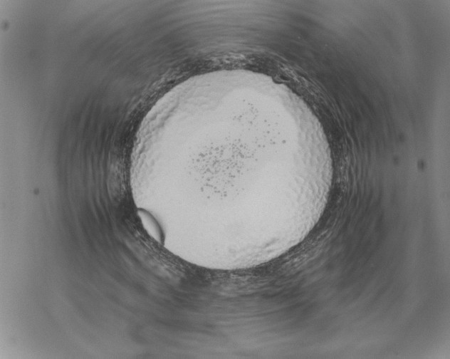 X0000069390772200606021631