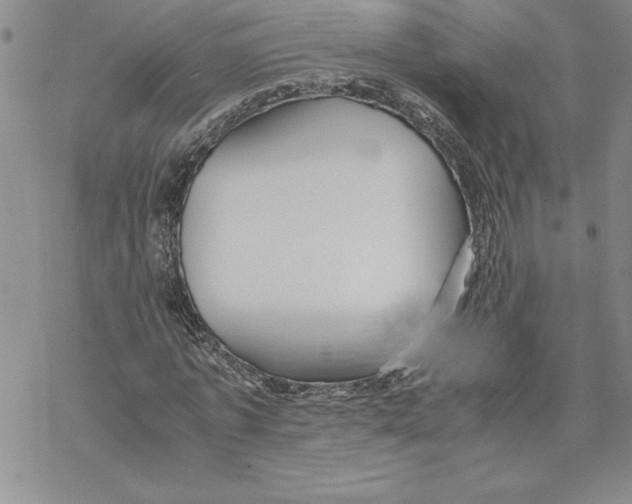 X0000069390773200606021631