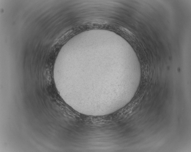 X0000069390774200606021631