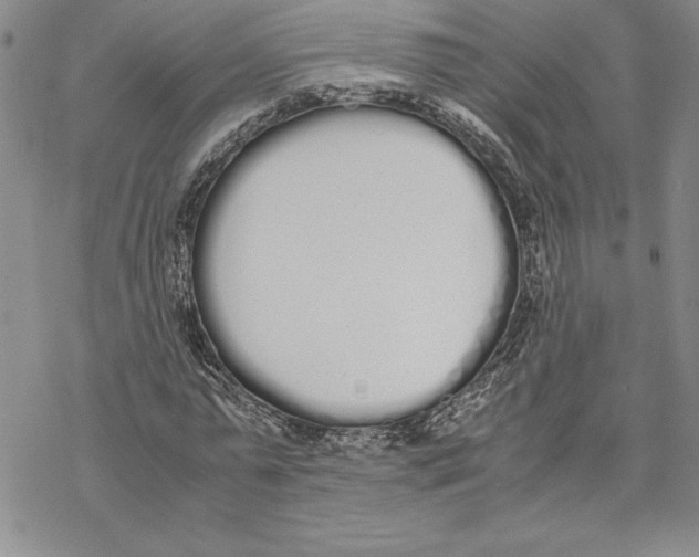 X0000069390775200606021631