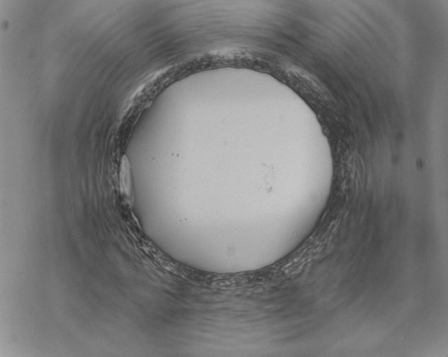 X0000069390776200606021631