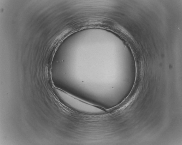 X0000069390777200606021631