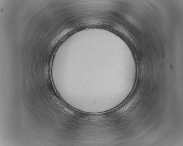 X0000069390778200606021631