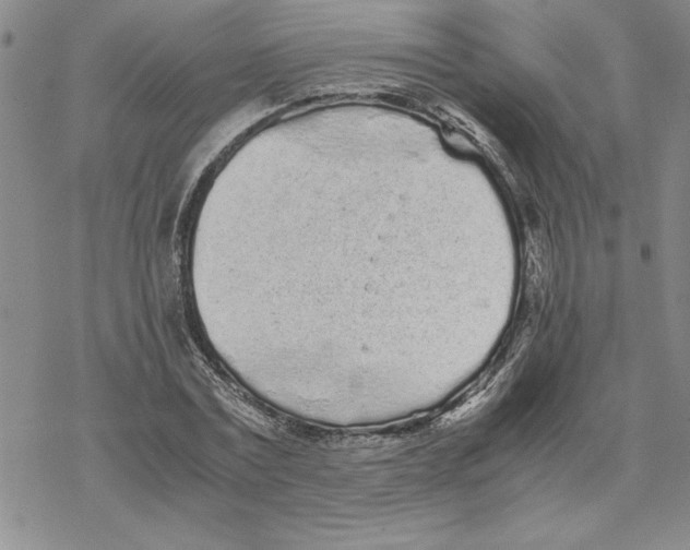 X0000069390779200606021631