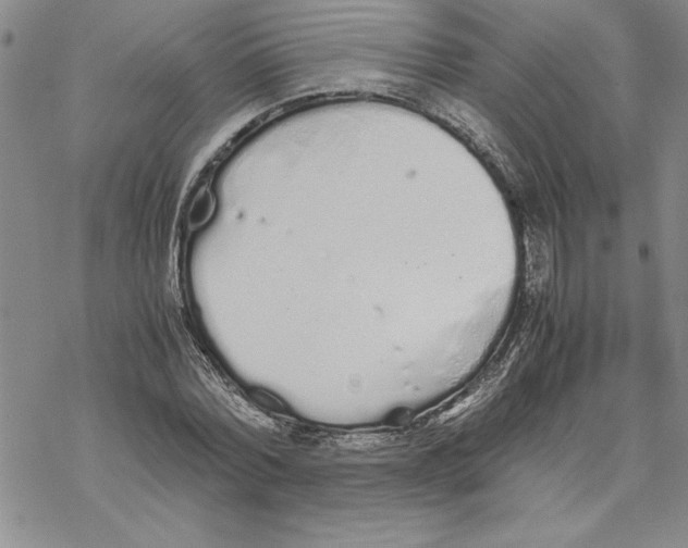 X0000069390780200606021631