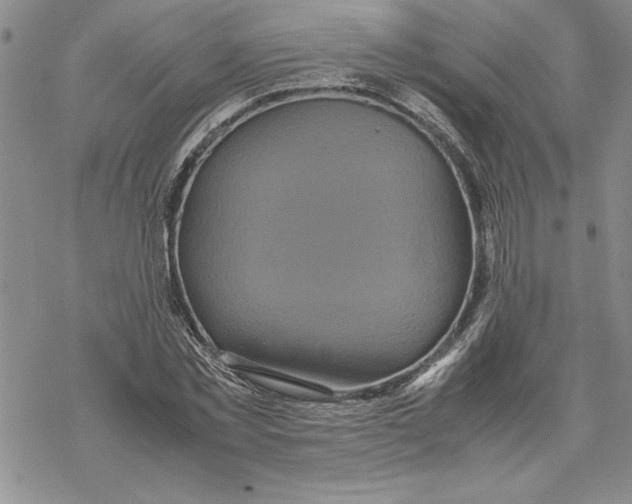 X0000069390781200606021631