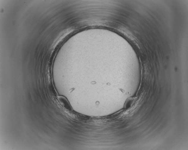 X0000069390782200606021631