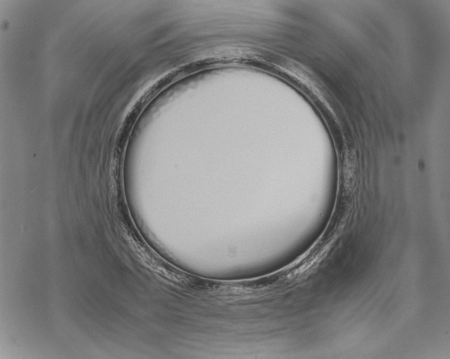 X0000069390783200606021631