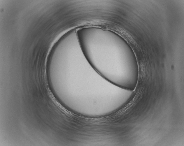 X0000069390784200606021631