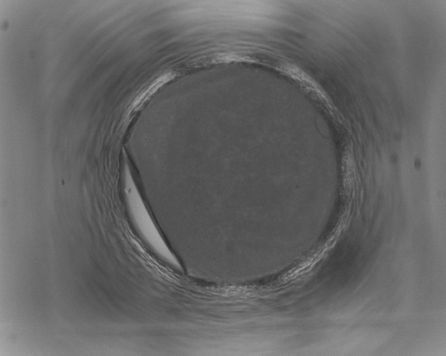 X0000069390785200606021630