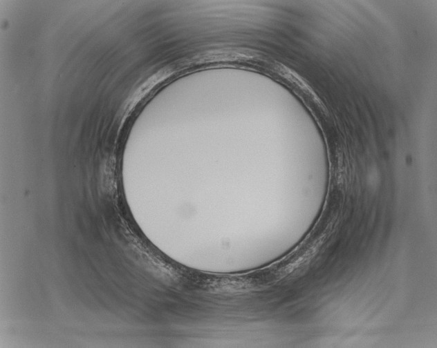 X0000069390786200606021630