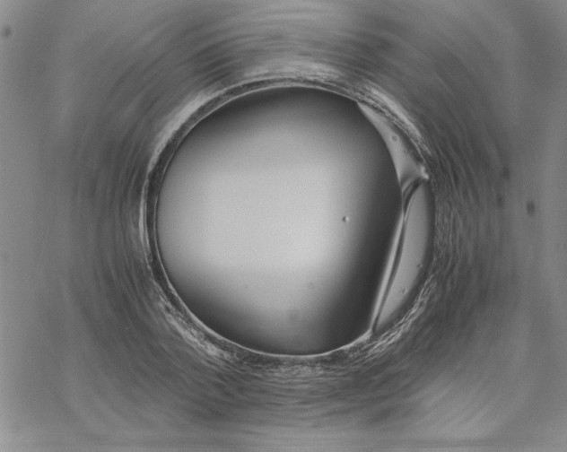 X0000069390788200606021630