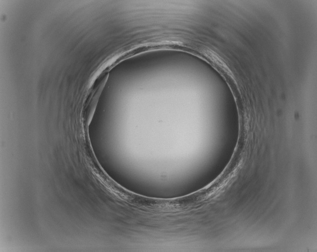 X0000069390789200606021630