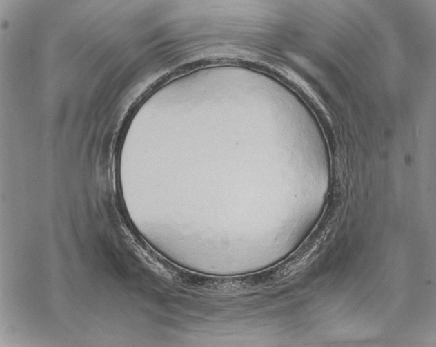 X0000069390791200606021630