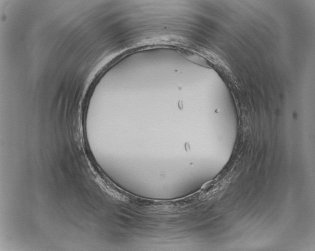 X0000069390792200606021630