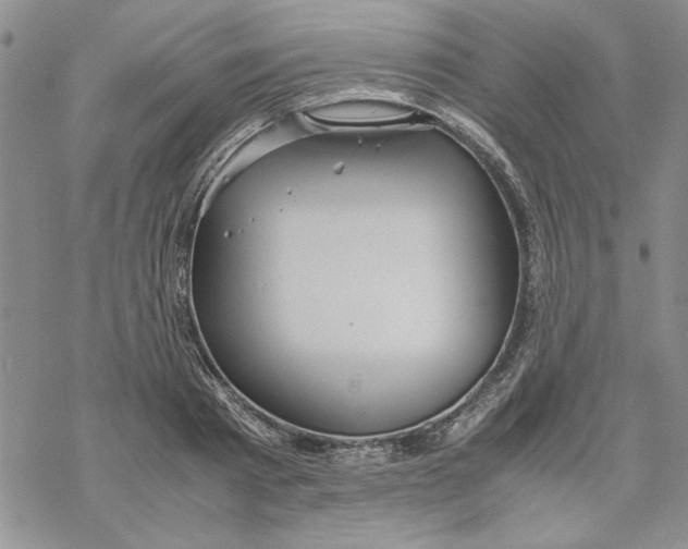 X0000069390793200606021630