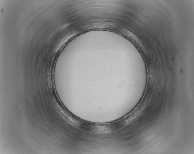 X0000069390794200606021630