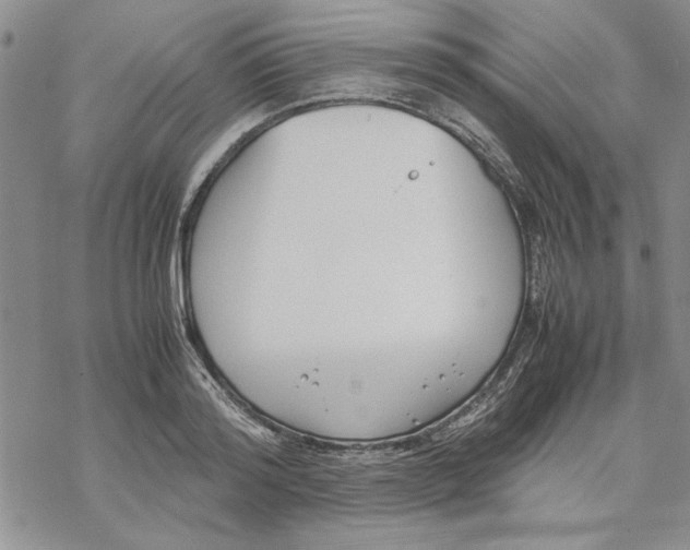 X0000069390796200606021630