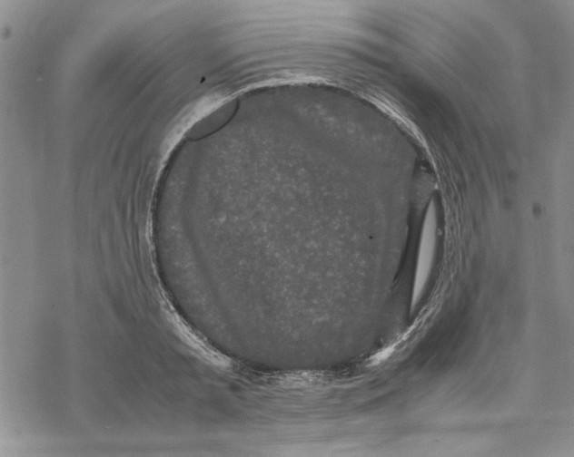 X0000069390797200606021630