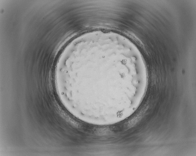 X0000069390798200606021630