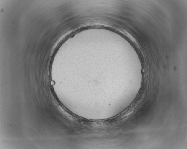 X0000069390799200606021630