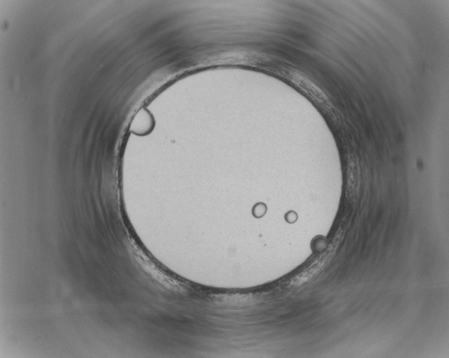 X0000069390800200606021630