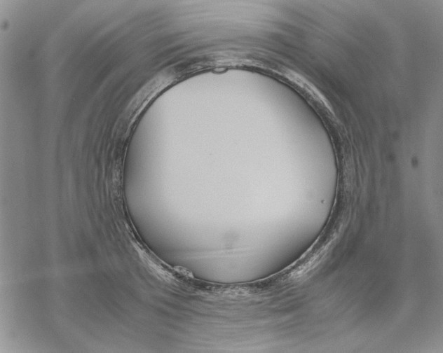 X0000069390801200606021630