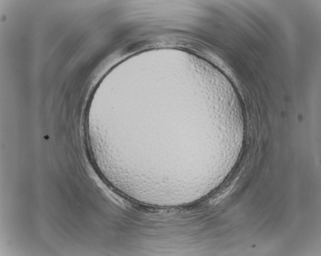 X0000069390803200606021630