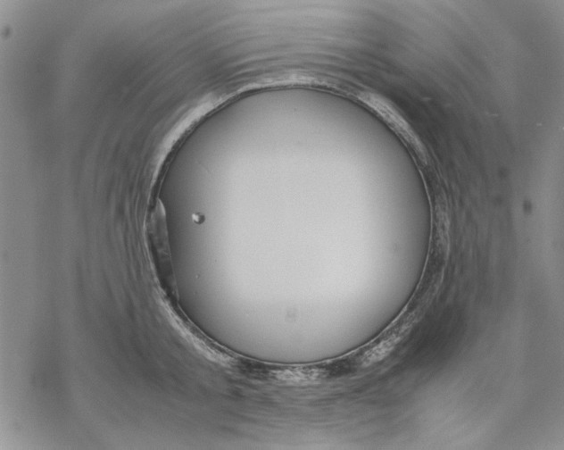 X0000069390805200606021630