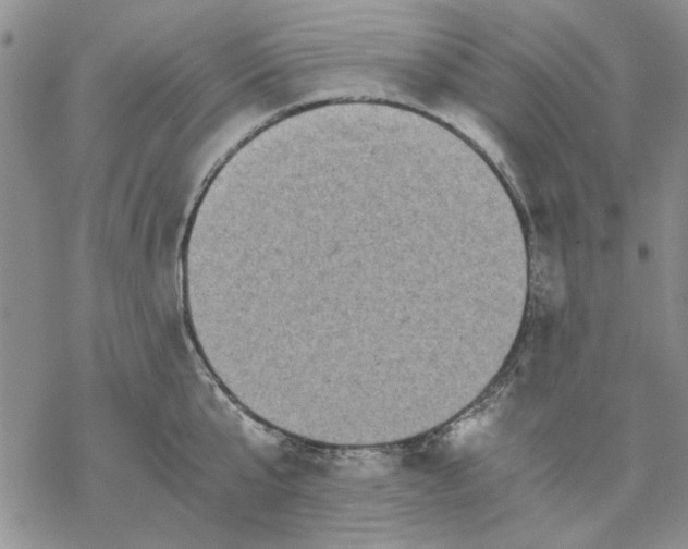 X0000069390807200606021630