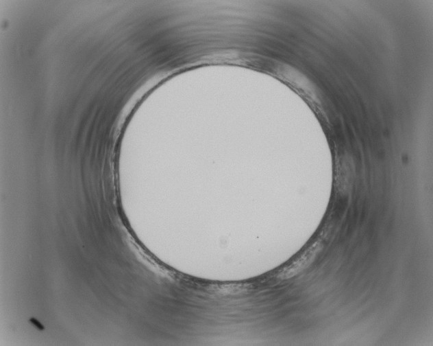 X0000069390808200606021630