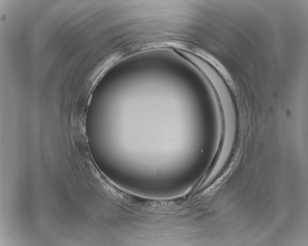 X0000069390809200606021630