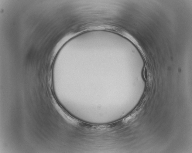 X0000069390811200606021630