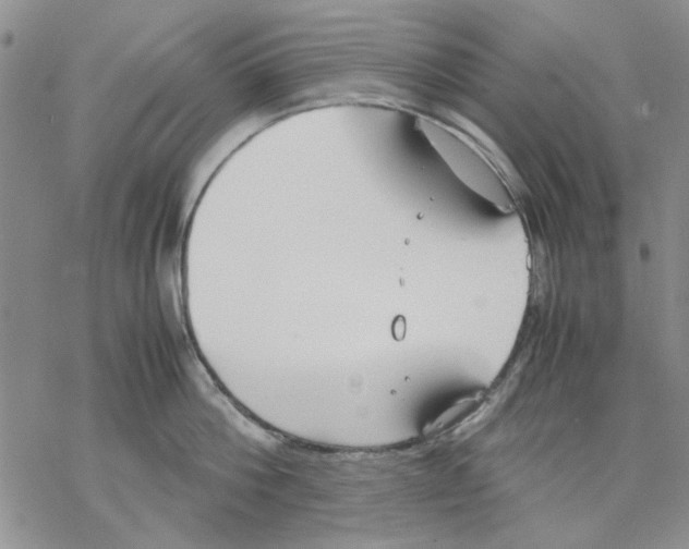 X0000069390812200606021630