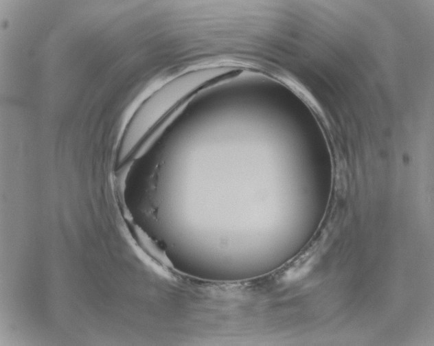 X0000069390813200606021630