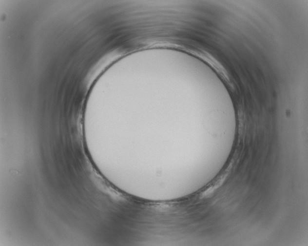 X0000069390814200606021630