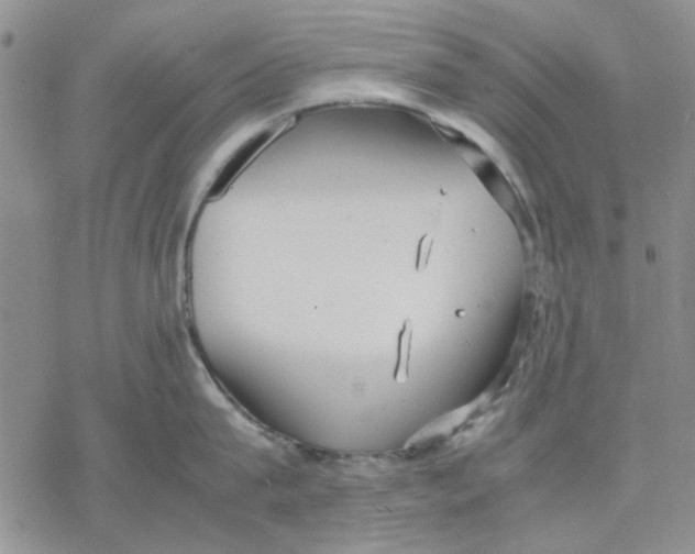 X0000069390815200606021630