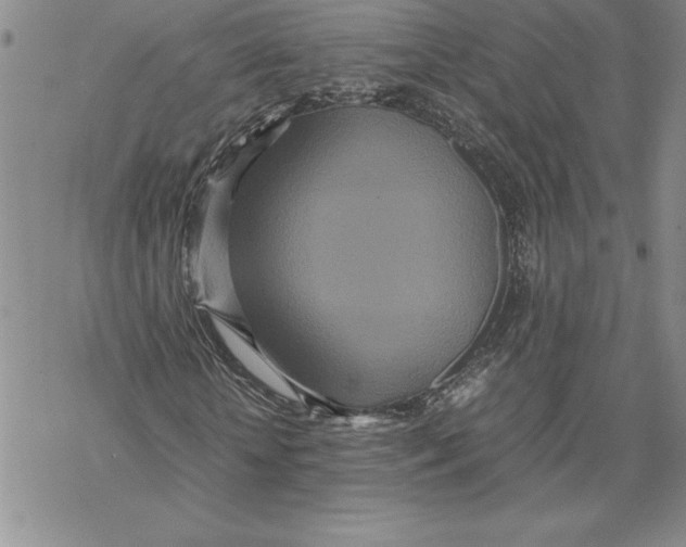 X0000069390818200606021629