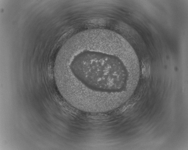 X0000069390819200606021629