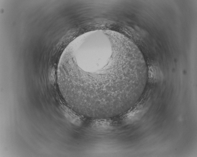 X0000069390820200606021629