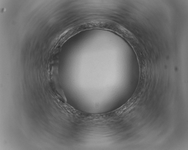 X0000069390822200606021629