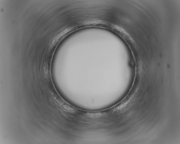 X0000069390825200606021629