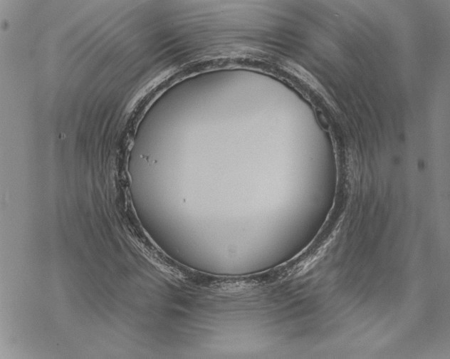 X0000069390826200606021629