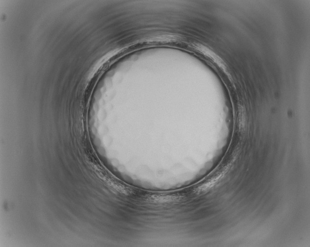 X0000069390829200606021629