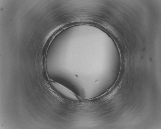 X0000069390830200606021629