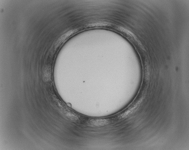 X0000069390833200606021629