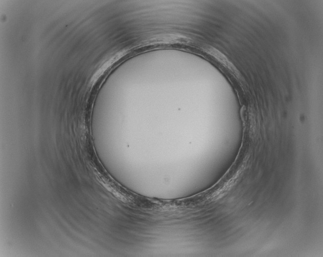 X0000069390834200606021629