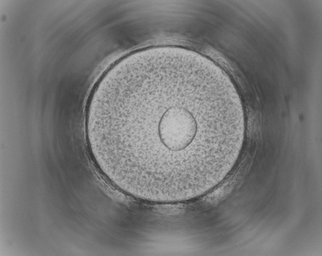 X0000069390836200606021630